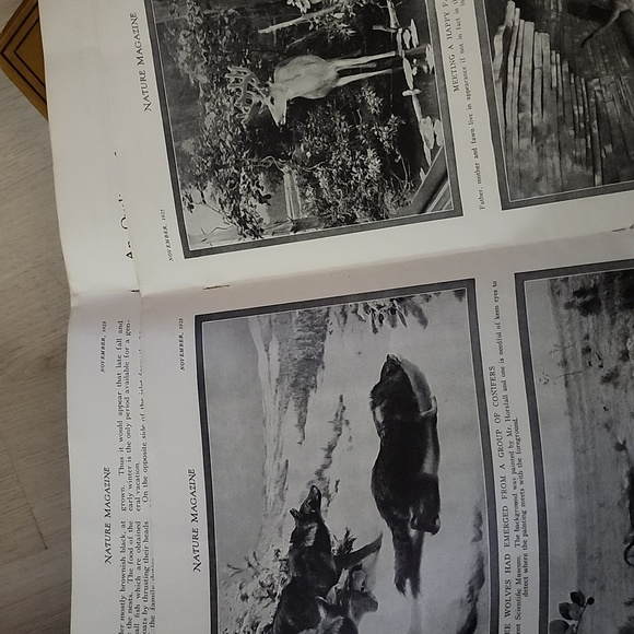 Nature Magazine - Picture 3 of 4